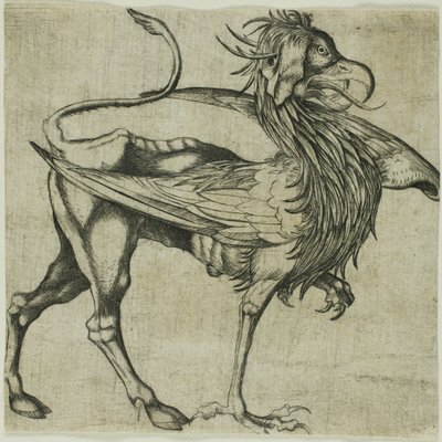 ザ・グリフィン 作： Martin Schongauer