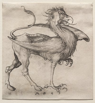 グリフィン、1400年代。 作： Martin Schongauer