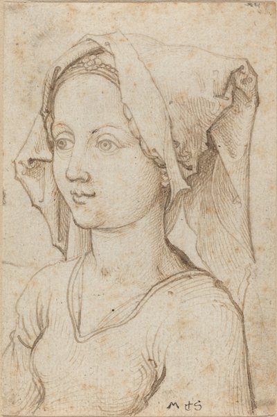 スカーフを身に着けている若い女性 作： Martin Schongauer