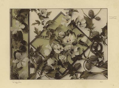 Martin Gerlach の Festons と装飾グループの 1 つ (白黒写真) 作： Martin senior Gerlach