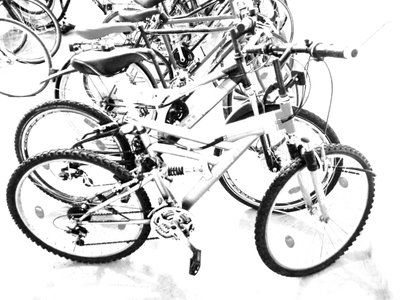 自転車 作： Martina Konitzky