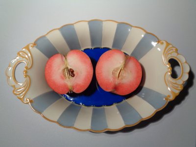 赤いリンゴが描かれたKöniglich Privilegierte Porzellanfabrik Tettauの磁器 作： Martina Konitzky