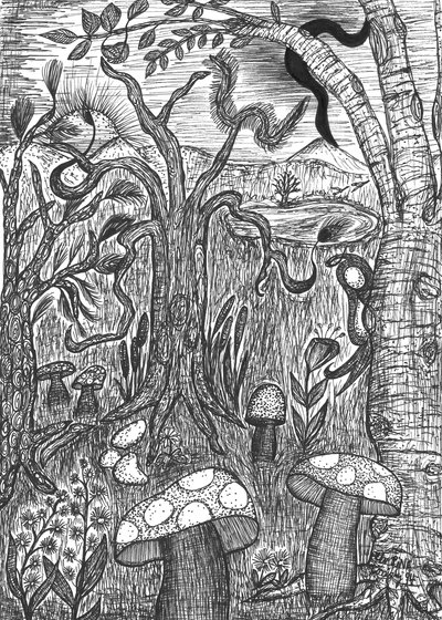 キノコのある風景 作： Martina Konitzky