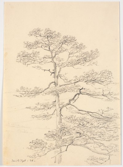 松の木 作： Martinus Rørbye