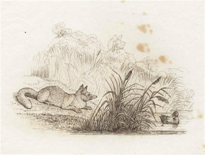 Heyさんの「半百童話」の挿絵です。 作： Martinus Rørbye