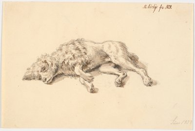 横になっているプードル犬 作： Martinus Rørbye