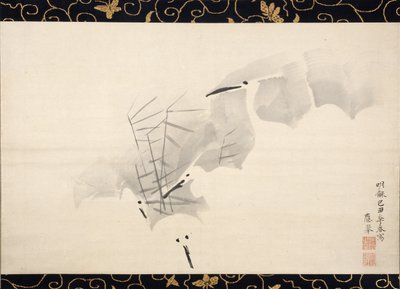 ホワイトヘロン、1769年。 作： Maruyama Okyo