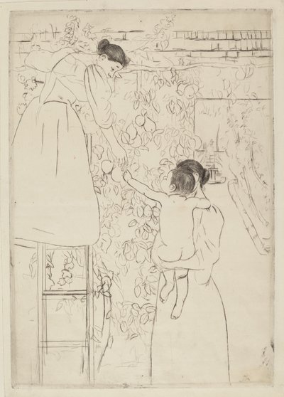 Gathering Fruit（1893年頃）。 作： Mary Cassatt