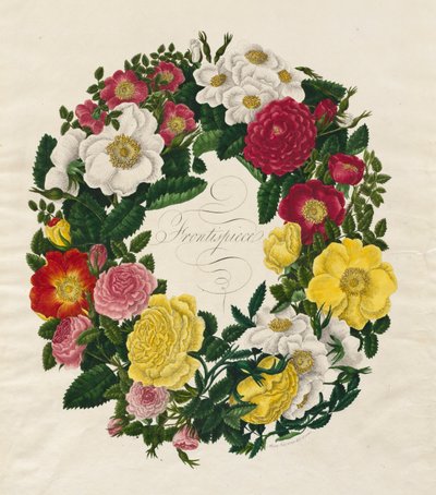 バラの花輪 作： Mary Lawrence