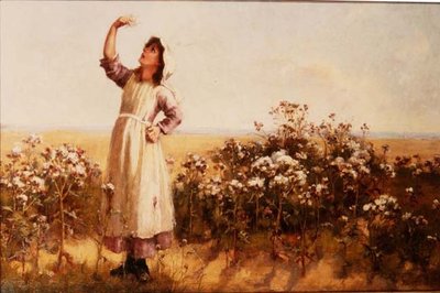 Thistledown 作： Mary Louise Breakell