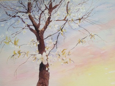 白い桜 作： Mary Smith