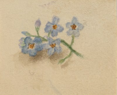 (無題) 作： Mary Vaux Walcott