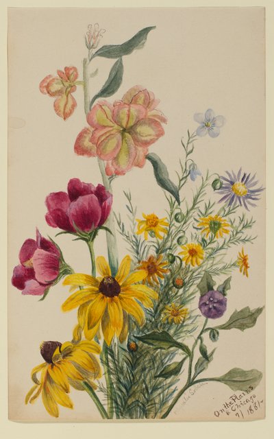 花のグループ 作： Mary Vaux Walcott