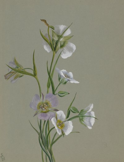 モニュメントへの道 作： Mary Vaux Walcott