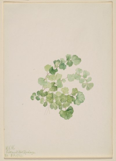 プックン 作： Mary Vaux Walcott
