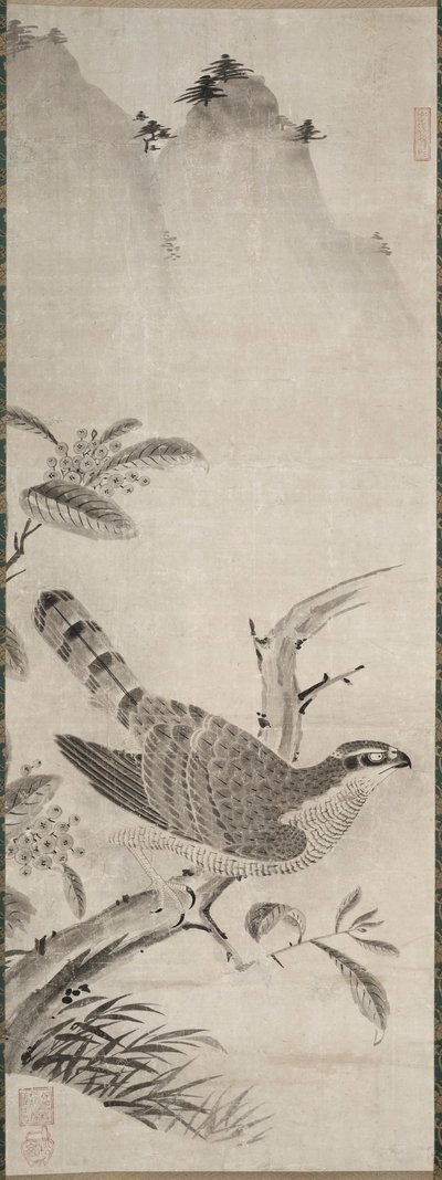 ホーク、1500年代半ば。 作： Masayoshi Fujiwara
