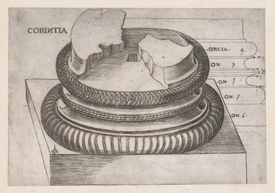 Speculum Romanae Magnificentiae:ローマ、マルス・ウルトル神殿のコリント式台座...1537年頃 作： Master GA