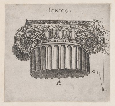 Speculum Romanae Magnificentiae：1537年頃に作られたイオニア式の大文字。 作： Master GA