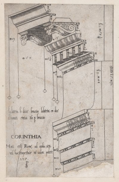 Speculum Romanae Magnificentiae:ローマ、トラヤヌスのフォーラムからのエンタブラチャー、1537年。 作： Master PS