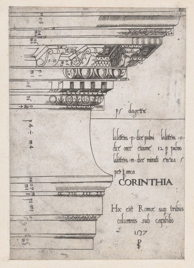 Speculum Romanae Magnificentiae:ローマのカストルとポリュックス神殿のエンタブラチャー、1537年、1537年 作： Master PS