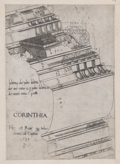 Speculum Romanae Magnificentiae:ローマのヴェスパシアヌス神殿のエンタブラチャー、1537年、1537年 作： Master PS