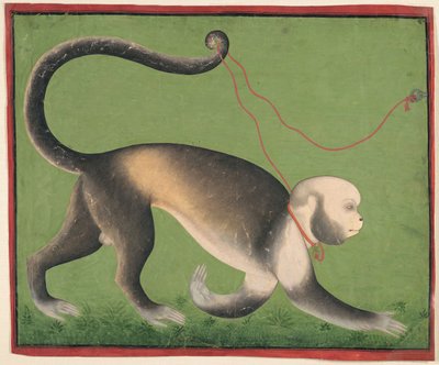 猿の記念碑的肖像 1705-10年頃 不透明水彩、金、紙 作： Master Stipple