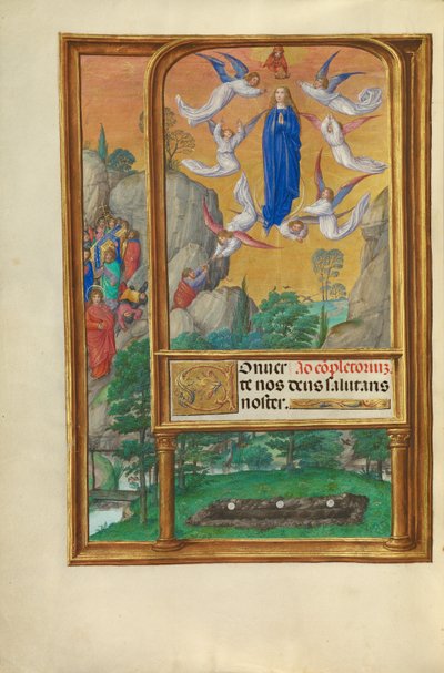 聖母被昇天 作： Master of James IV of Scotland