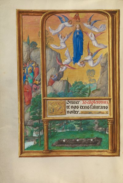 聖母被昇天 作： Master of James IV of Scotland