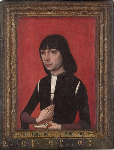 オランダ語：フォンセカ家の若者の肖像 フォンセカ家の若者の肖像 作： 王子の肖像画のマスター