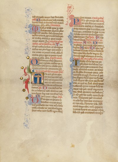 イニシャルN：十字架 作： Master of the Brussels Initials