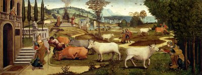 テセウスの物語からのクレタ島のミノス王の妻パシファエの情熱（パネルに油彩） 作： Master of the Campana Cassoni