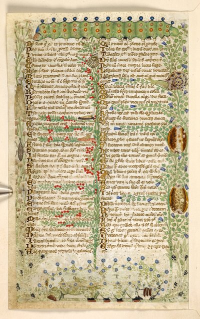追加。 28841、f.2v：毛虫、カタツムリ、その他の昆虫、美徳と悪徳に関する論文、およびシチリアの匿名の散文史（断片）、c.1330-40（ベラム） 作： Master of the Cocharelli Codex