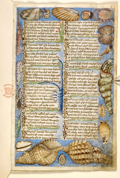 追加。 28841、f.5: 貝殻と海洋生物、美徳と悪徳に関する論文、およびシチリアの匿名の散文史 (断片)、c.1330-40 (ベラム) 作： Master of the Cocharelli Codex