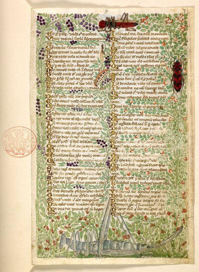 追加。 28841、f.7、美徳と悪徳に関する論文からのバッタとバッタを含む花、果物、昆虫、およびシチリアの匿名の散文の歴史（断片） 作： Master of the Cocharelli Codex