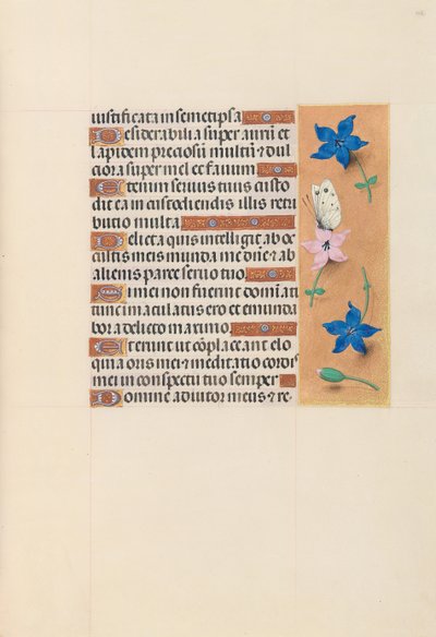 女王イザベラカトリック、スペイン女王の時間：フォル。 102r、c。 1500。 作： Master of the First Prayerbook of Maximillian