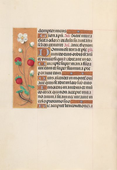 スペイン女王イザベラ女王の時間：フォル。 102v、c。 1500。 作： Master of the First Prayerbook of Maximillian