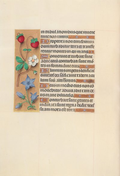 女王イザベラカトリック、スペイン女王の時間：フォル。 105v、c。 1500。 作： Master of the First Prayerbook of Maximillian
