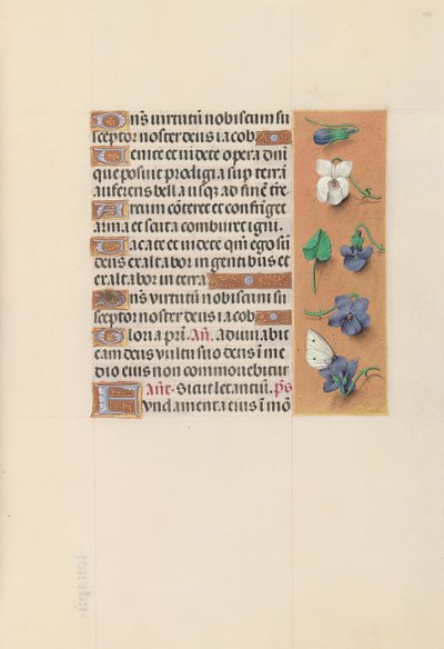スペイン女王イザベラ女王の時間：フォル。 106r、c。 1500。 作： Master of the First Prayerbook of Maximillian