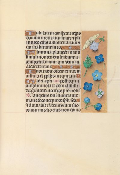 女王イザベラカトリック、スペイン女王の時間：フォル。 110r、c。 1500。 作： Master of the First Prayerbook of Maximillian
