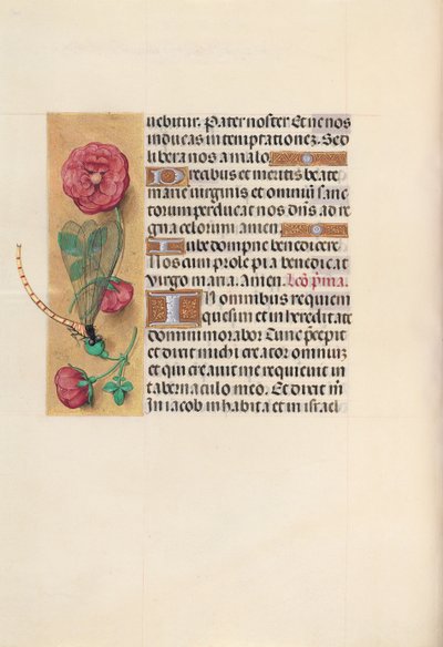 女王イザベラカトリック、スペイン女王の時間：フォル。 110v、c。 1500。 作： Master of the First Prayerbook of Maximillian