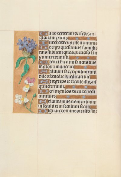 スペイン女王イザベラ女王の時間：フォル。 113v、c。 1500。 作： Master of the First Prayerbook of Maximillian