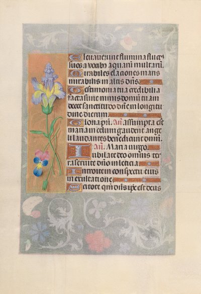 スペインの女王、カトリックのイザベラ女王の時間：Fol。 116v、c。 1500。 作： Master of the First Prayerbook of Maximillian