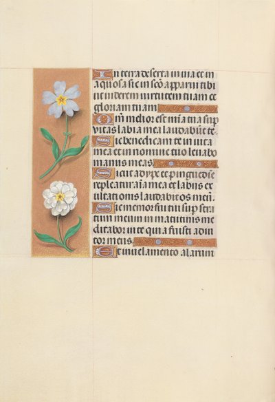 女王イザベラカトリック、スペイン女王の時間：フォル。 117v、c。 1500。 作： Master of the First Prayerbook of Maximillian