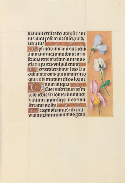 女王イザベラカトリック、スペイン女王の時間：フォル。 118r、c。 1500。 作： Master of the First Prayerbook of Maximillian