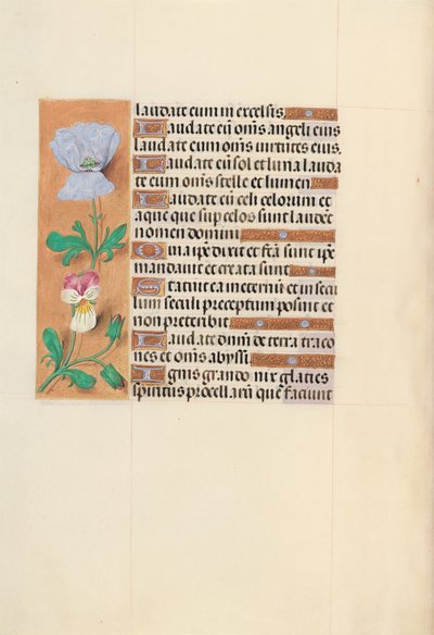 スペイン女王イザベラの時間：  フォル120v 作： Master of the First Prayerbook of Maximillian