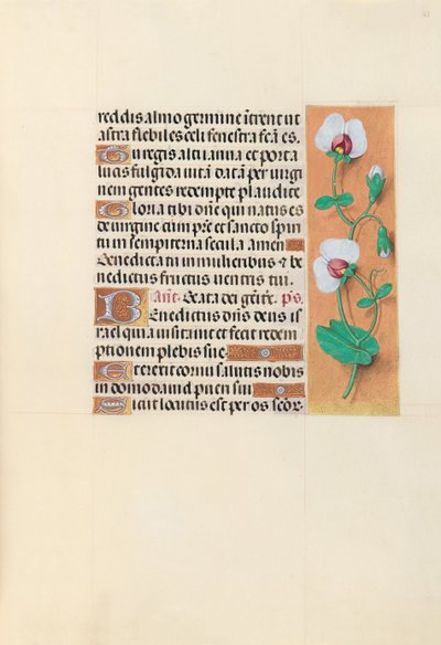 女王イザベラカトリック、スペイン女王の時間：フォル。 123r、c。 1500。 作： Master of the First Prayerbook of Maximillian