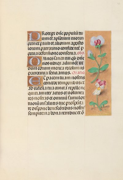 女王イザベラカトリック、スペイン女王の時間：フォル。 125r、c。 1500。 作： Master of the First Prayerbook of Maximillian