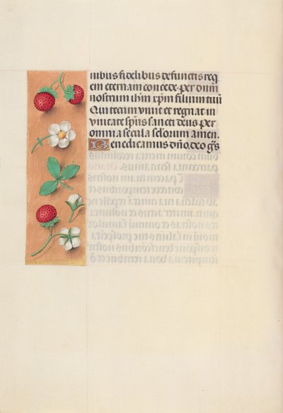 女王イザベラカトリック、スペイン女王の時間：フォル。 125v、c。 1500。 作： Master of the First Prayerbook of Maximillian