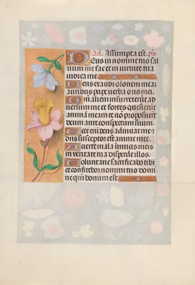 スペイン女王イザベラ女王の時間：フォル。 127v、c。 1500。 作： Master of the First Prayerbook of Maximillian