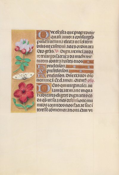 スペイン女王イザベラ女王の時間：フォル。 129v、c。 1500。 作： Master of the First Prayerbook of Maximillian